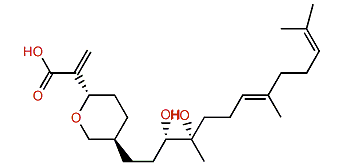 Rhopaloic acid G